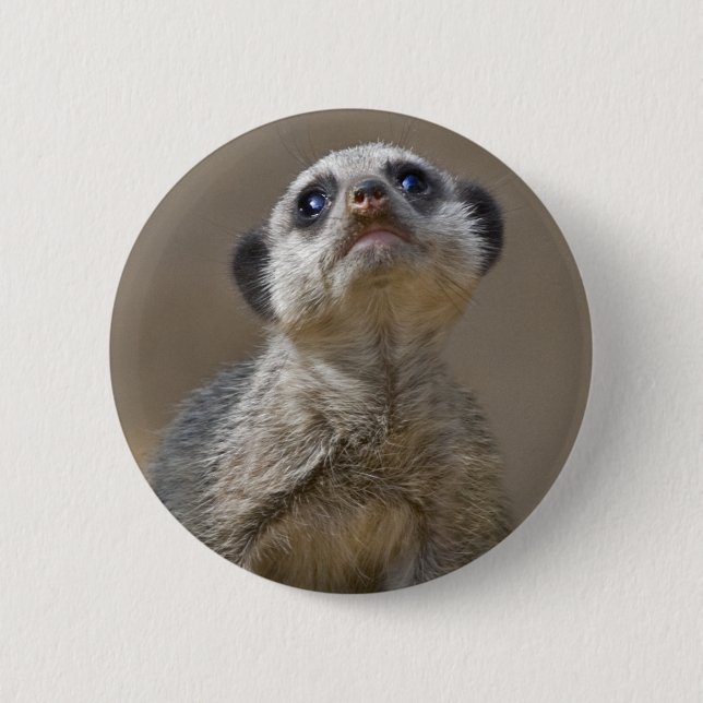 Kute Kat Badge 2 Inch Round Button (Front)