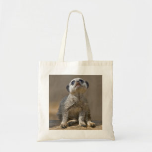 Kute Kat Bag