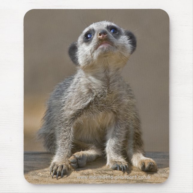 Kute Kat Mousemat Mouse Pad (Front)