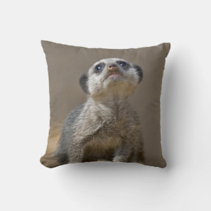 Kute Kat Pillow
