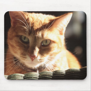 Kute Kitty! Mouse Pad