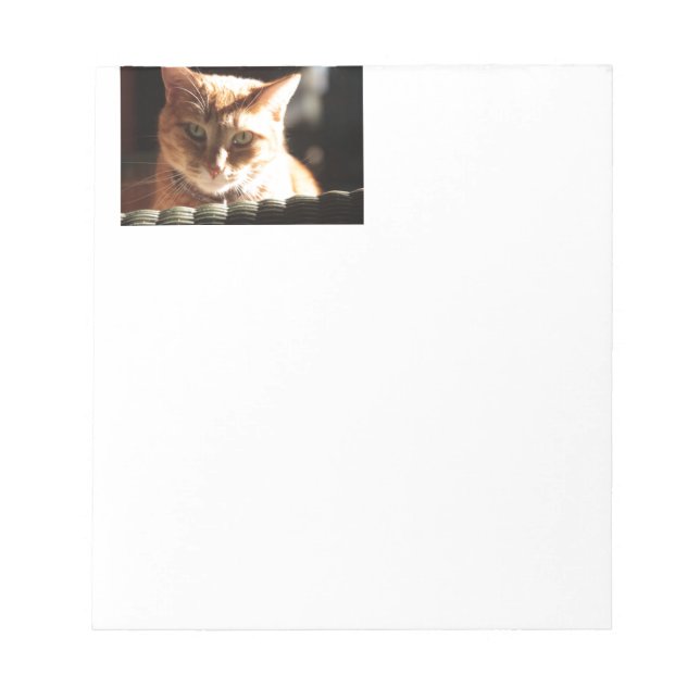 Kute Kitty! Notepad (Front)