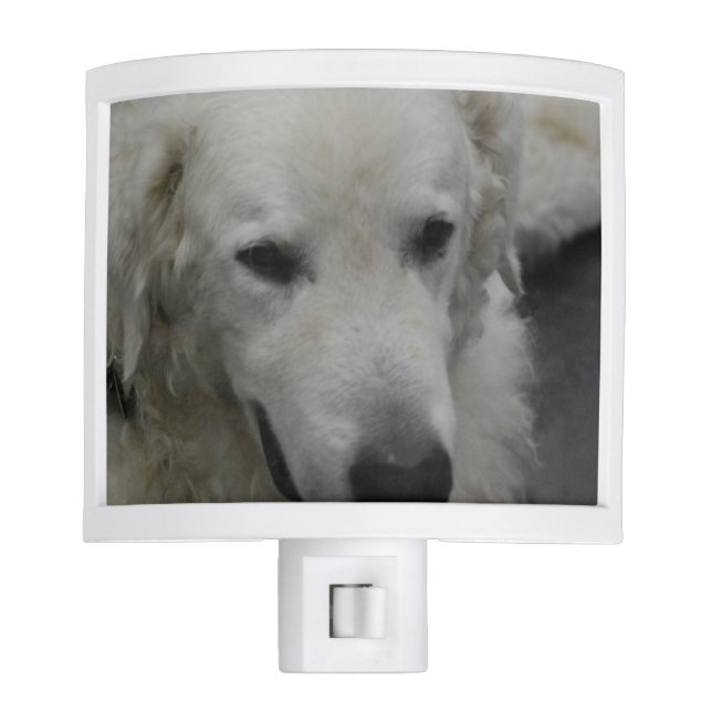 Kuvasz Dog Breed Night Lite (Front)
