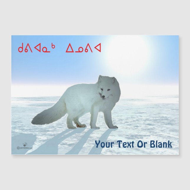 Kuvianak Innovia - Arctic Fox (Front)
