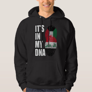 Kuwaiti And Iraqi Mix DNA Heritage Flag Hoodie