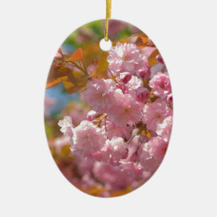 Kwanzan cherry in sunny day ceramic ornament