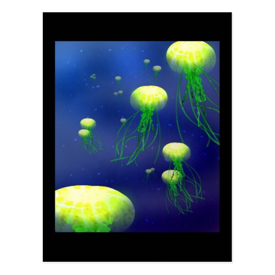 KY Jellies Post Card