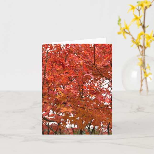 Kyoto Autumn Leaves Card (Yellow Flower)