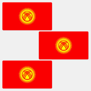 Kyrgyzstan Flag