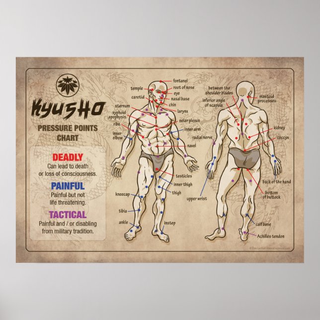 Kyusho - Tableau des points de pression du corps h (Devant)