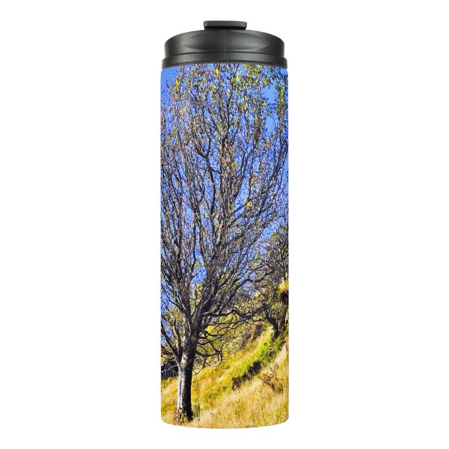 L0NE TREE THERMAL TUMBLER (Front)