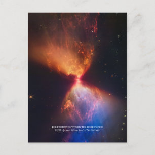 L1527 and Protostar - James Webb Space Telescope Postcard