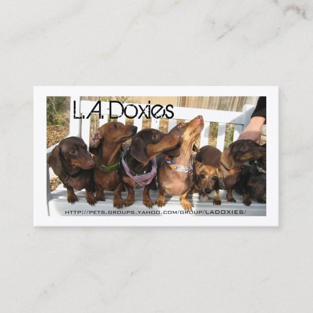 L.A.Doxies [leo+polie] Business Card (Front)