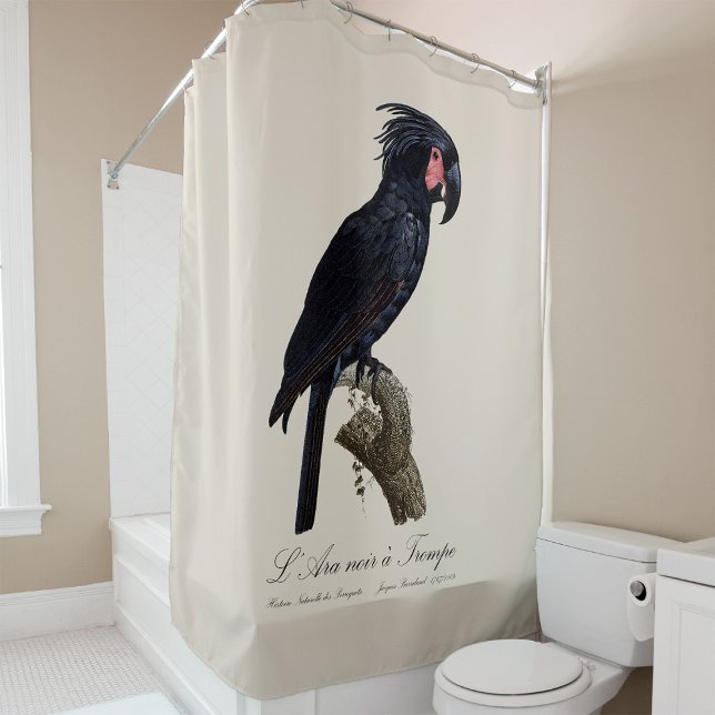 L' Ara Noir a Trompe / Palm Cockatoo  (L' Ara Noir a Trompe / Palm Cockatoo. Shower Curtain)