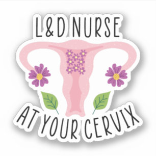 L&D Nurse at your Cervix, Labour and Delivery Nurs