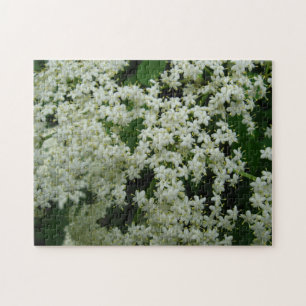 La baie de sureau fleurit puzzle