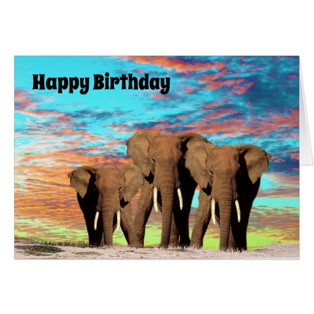 La Bande Eléphante, Carte Anniversaire (Devant horizontal)