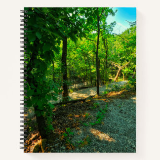 La beauté dans le Carnet des Woods dominé par le c