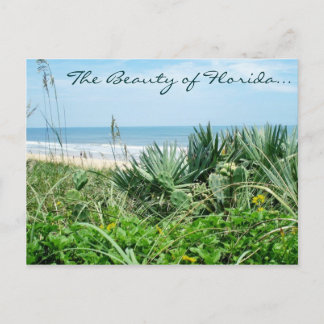 La Beauté de la Floride Carte Postale / Carte Post