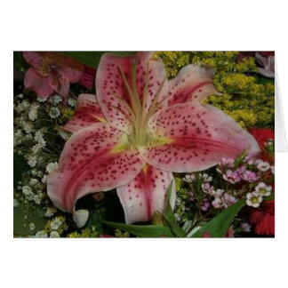 La beauté de la nature