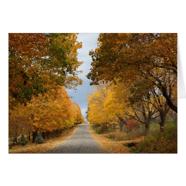 "La beauté de l'automne" (Devant horizontal)