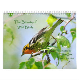 La beauté du calendrier sauvage d'oiseaux