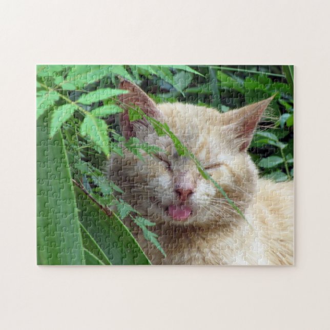 La Bête, Le Chat Le Plus Doux - Puzzle (Horizontal)