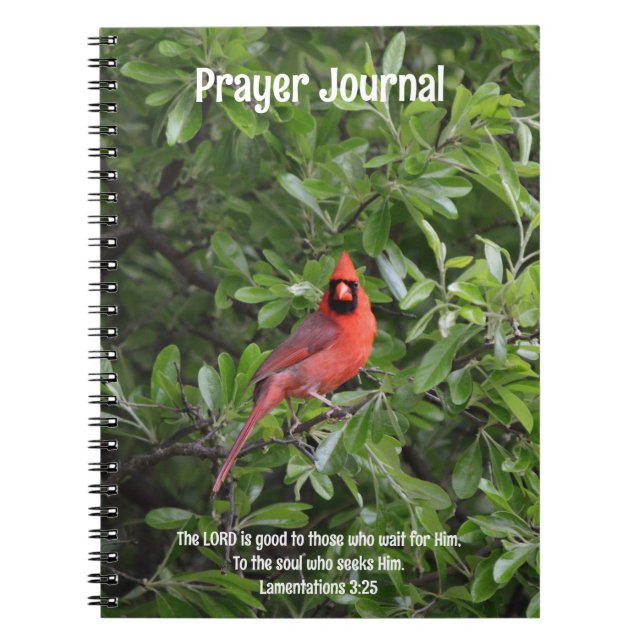 La Bible du cardinal rouge, Journal de prière (Devant)