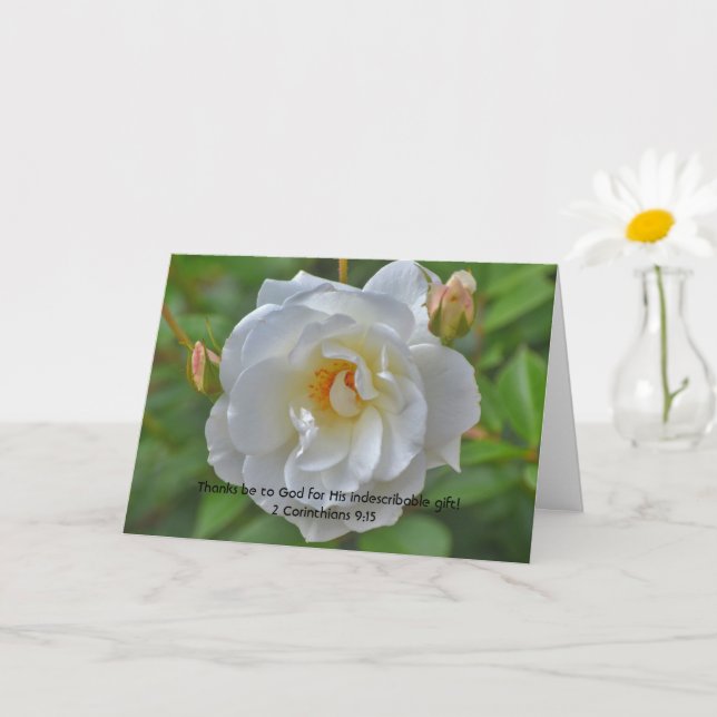 La Bible Verse de la Foi Rose blanche Carte de rem (Petite plante)