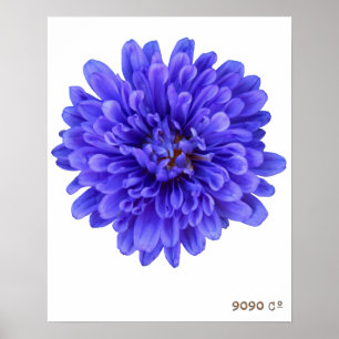 La Bluette Poster