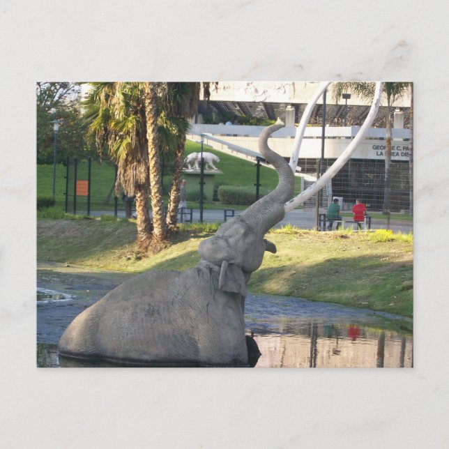  LA BREA TAR PITS #1 Postcard (Front)
