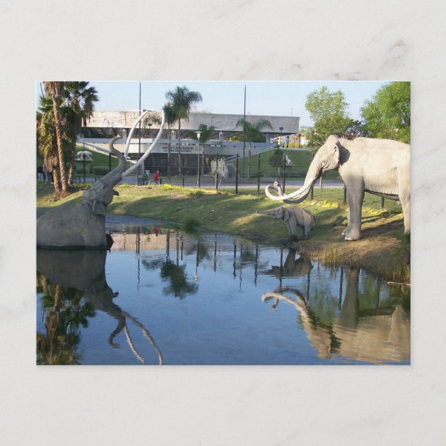  LA BREA TAR PITS #2 Postcard (Front)