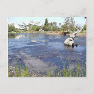 La Brea Tarpits Ponds Museums Postcard