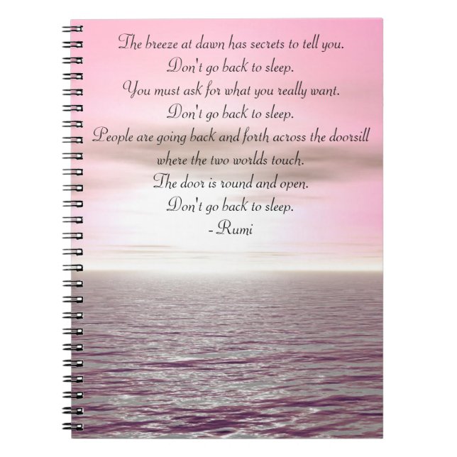 La brise au journal de manifestation de Rumi (Devant)