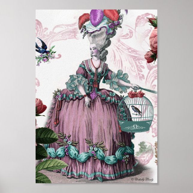 la cage aux oiseaux (The Birdcage) Poster (Front)
