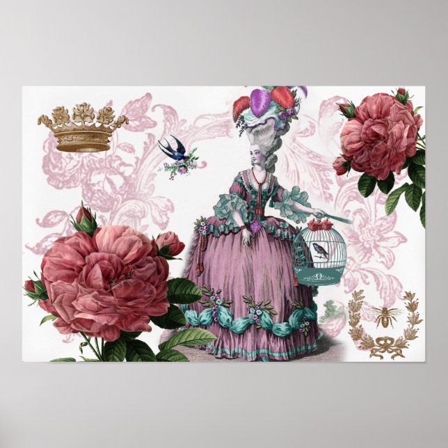 la cage aux oiseaux (The Birdcage) Poster (Front)