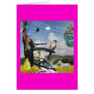 La Californie Bouddha