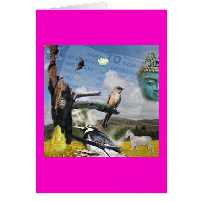 La Californie Bouddha (Devant)