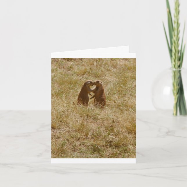 La carte a la photo mignonne chatting de 2 chiens (Devant)