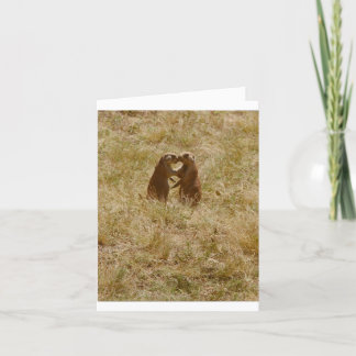 La carte a la photo mignonne chatting de 2 chiens