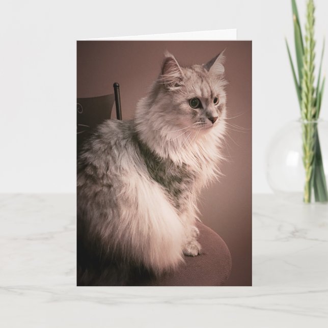 La carte d'anniversaire du Meow du chat (Devant)