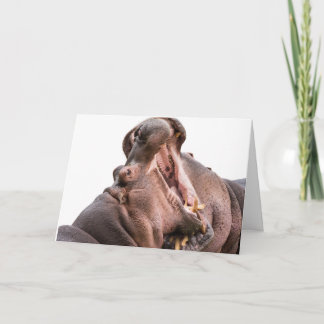 La carte de deux hippo à grande bouche