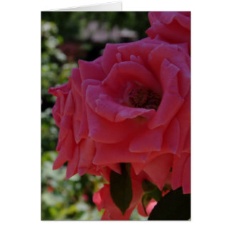 La carte de jardin