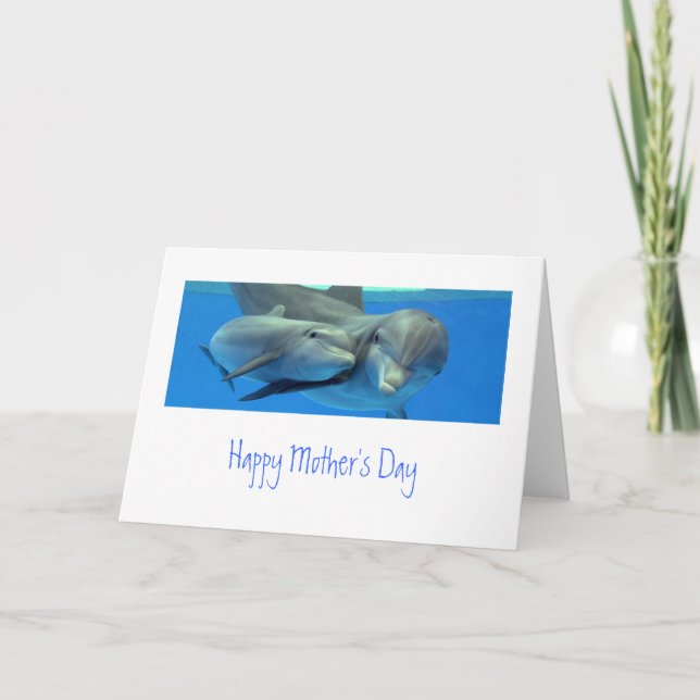 La carte de jour de Dolphin Mother (Devant)