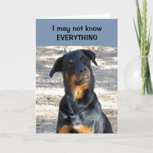 La carte de la Saint-Valentin Rottweiler