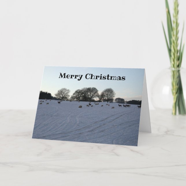 La carte de Noël de Snowy Hill (Devant)