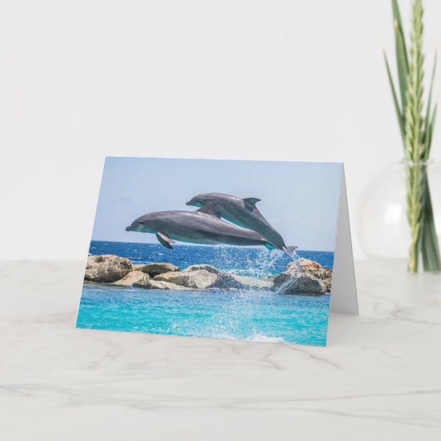 La carte de Valentine de dauphins (Devant)