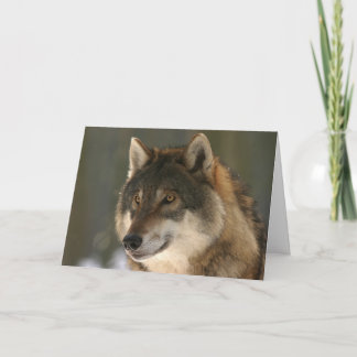 La carte de Valentine de loup