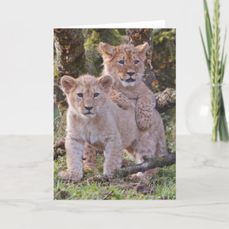La carte de voeux de petits animaux de lion,