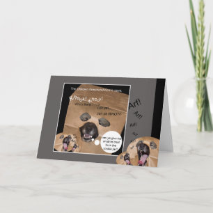 La carte de voeux inconnue de Komic de Keeshond
